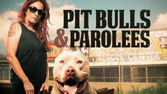 ‘Pit Bulls and Parolees’ to End With Season 19 .